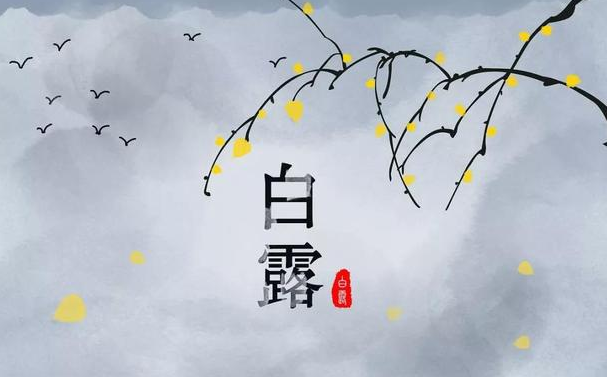 今迎白露，盛夏退場-普樂斯等離子清洗機
